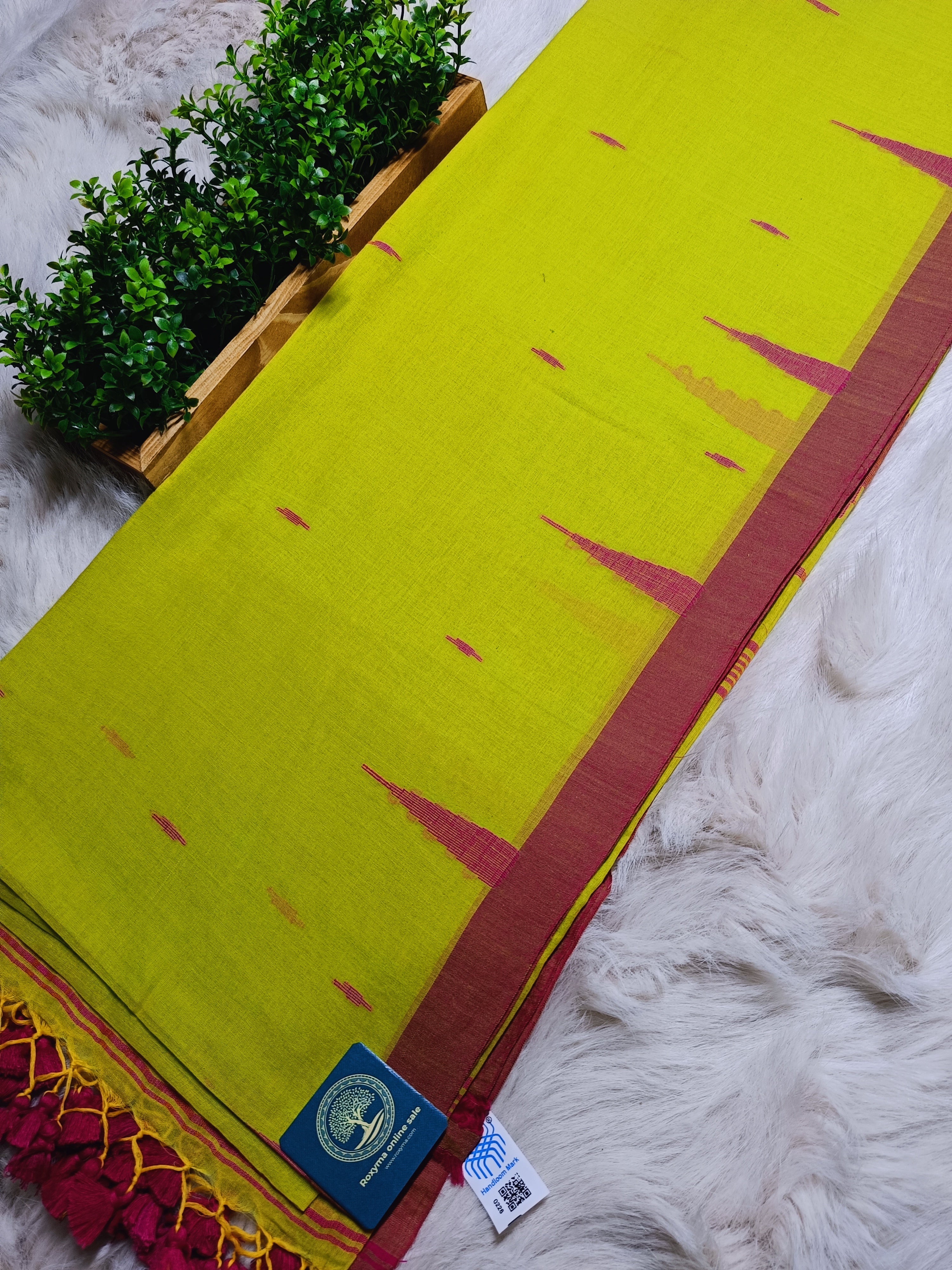 Handloom Cotton Saree in Lime Green and Magenta